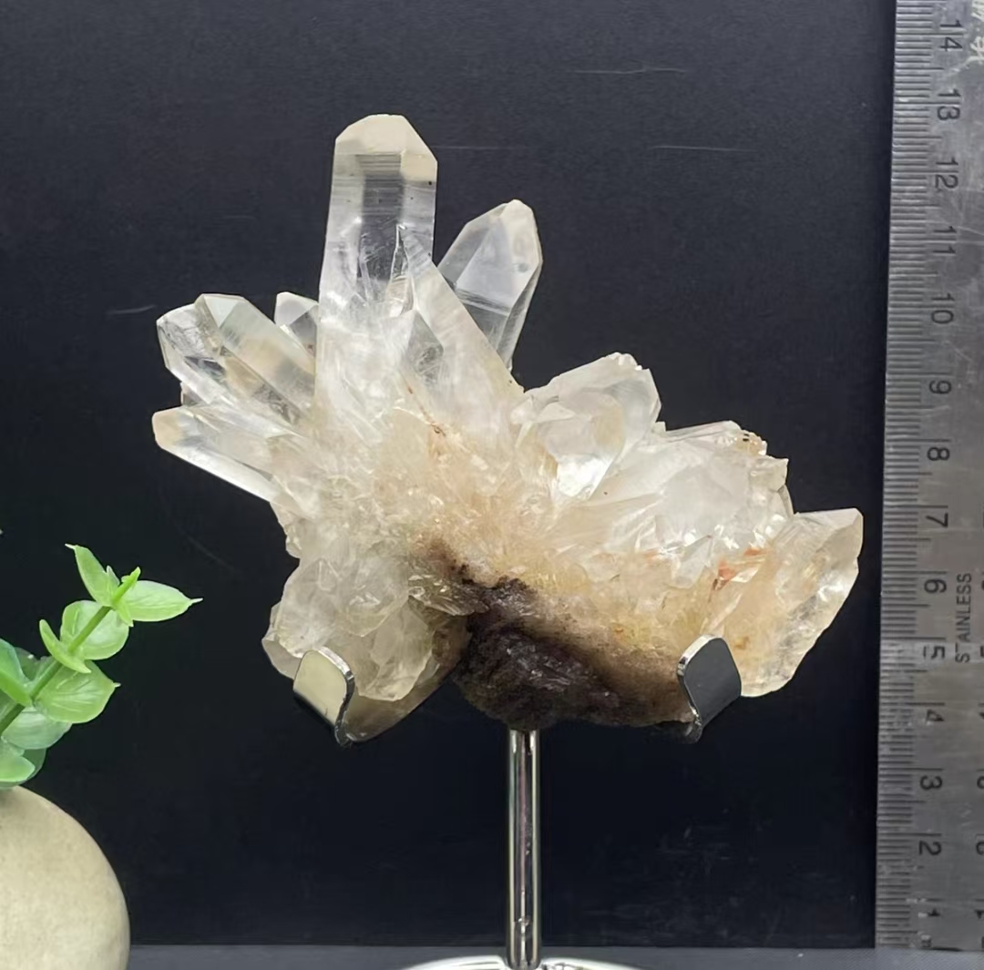 微信图片_20250410174849