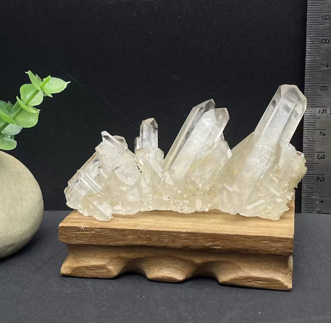 微信图片_202504101748493